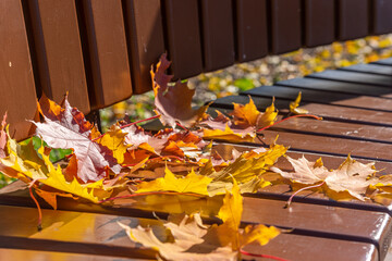Naklejka na ściany i meble A park bench with fallen leaves.