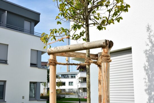 Neu gepflanzte B&auml;ume mit Baumschutzpf&auml;hlen zur Verkehrsberuhigung und Schaffung beschatteter Parkpl&auml;tze an einer Stra&szlig;e im Neubaugebiet