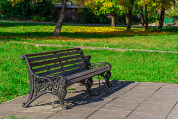 A park bench with fallen leaves.
