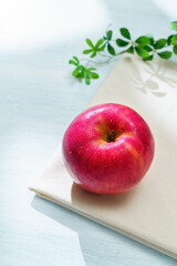 りんご (サンつがる)