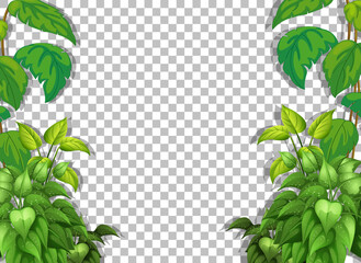 Various tropical leaves on transparent background