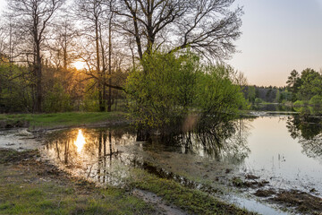 The river floods in early spring. Picturesque landscape spring evening. Sunbeams at sunset....