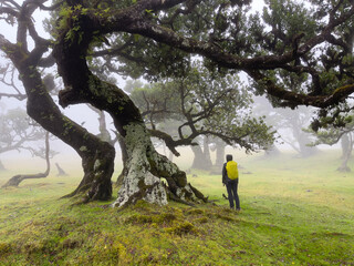 Madeira im Sommer