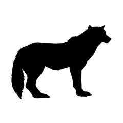 Silhouette of an animal wolf isolated on a white background.Vector illustration.View in profile.