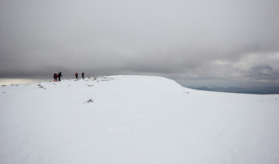 Group of mountaineers walking trough the mountains covered with snow...