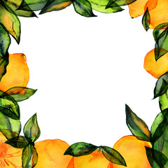 Lemon square frame with hand drawn watercolor