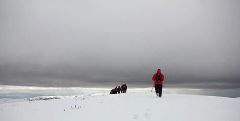 Group of mountaineers walking trough the mountains covered with snow...