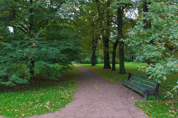 old park bench by the footpath on autumn day. High quality photo