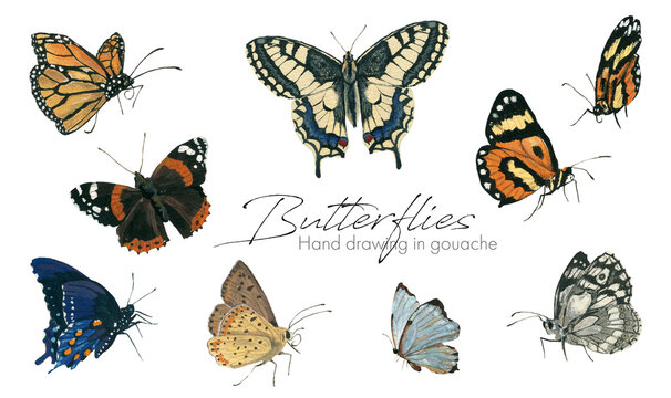 Set of elements. Butterflies on a white background. Hand drawing in gouache