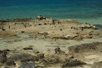 Bizarre limestone rock formation on tropical beach, Bermuda
