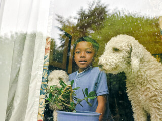 Boy and dogs looking through window