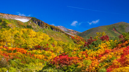 秋の大雪山系　紅葉の絶景　大雪高原沼