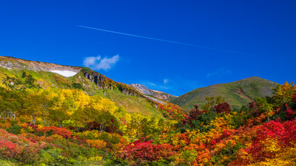 大雪山系の秋　紅葉　絶景