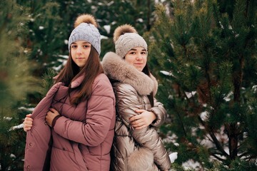 Two girls from the winter forest. Girls dressed in winter jackets and hats. Two sisters in a snowy forest. The cold weather. Snow-covered pines
