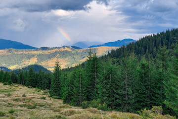 rainbow. High-altitude landscape with forest and colorful rainbow in the sky