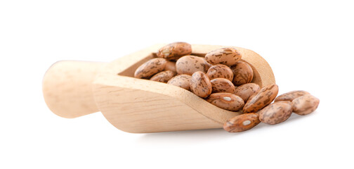 Pile of pinto beans isolated on white background