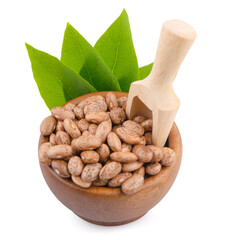 Pile of pinto beans isolated on white background