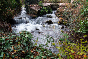 Obraz premium Cascada en la naturaleza