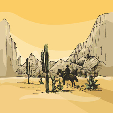 Horseman mexican rides on background panorama mountains and desert.