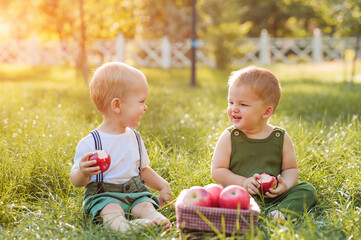 Beautiful Two kids toddlers and autumn harvest of apples. Children boy and basket of ripe red apples in garden close-up and copy space..