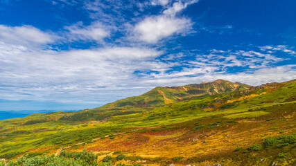 Obraz premium 旭岳散策路 紅葉登山