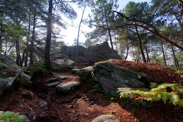 Forest path in the Avon rock near fontainebleau city