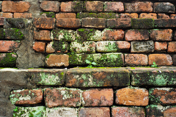 Closeup texture of weathered brick wall covered with lichen