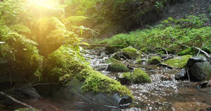 Beautiful small river and setting sun in the mountains. Cinema 4K 60fps one minute video with sound