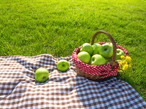 a picnic blanket with apples on grass