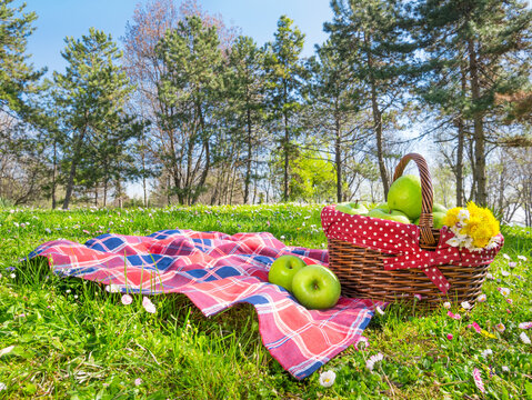 picnic basket and blanket in park at spring