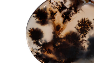 Macro mineral stone Moss Agate, Agata muschiataan