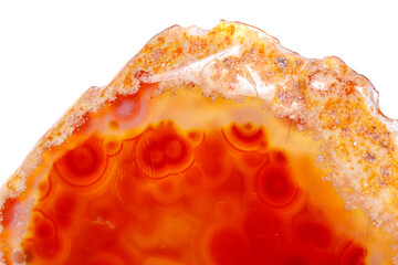 Macro mineral orange agate in crystals on white background