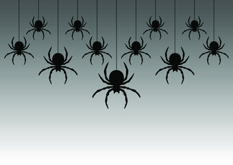 Black spiders hanging on a web.  Vector illustration.
