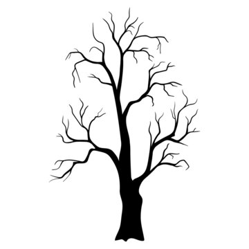 Black tree without leaves