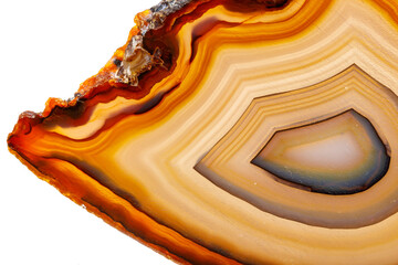 Macro mineral stone Yellow, brown Agate breed a white background - obrazy, fototapety, plakaty