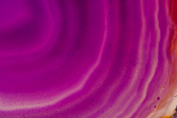 Macro mineral stone Purple Agate breed a white background