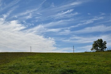 Fototapeta na wymiar A green field under a blue sky, Sainte-Apolline, Québec, Canada