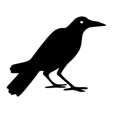 Raven silhouette, icon.