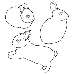 Set of illustrations of a rabbit. Spotted rabbits. Coloring page. Cute animals. 