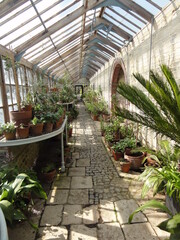 Fototapeta na wymiar Long greenhouse with plants