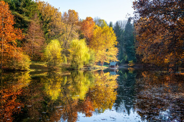 Autumn view with reflections in the lake - Lipnik Park, Ruse region, Bulgaria