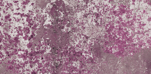 Old concrete slab texture with purple moss
