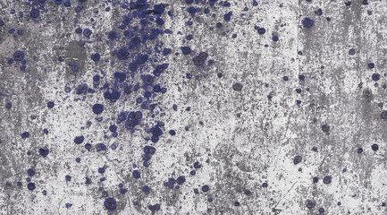 Old concrete slab texture with blue moss