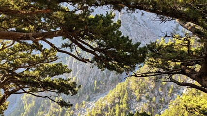 Samaria mountains, Crete 