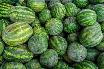 Watermelon background. Summer Fruit Market