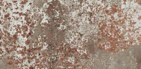 Obraz premium Crack concrete slab backdrop with moss