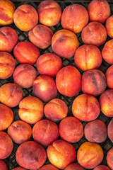 Background of peaches on the market