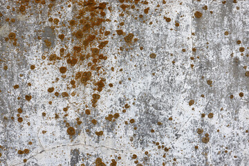 Abstract old crack concrete slab texture with yellow moss