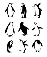 penguin icon different poses vector set