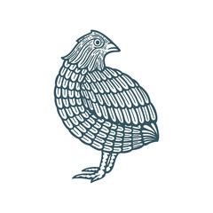 Quail. Hand drawn quail vector illustration. Part of set.